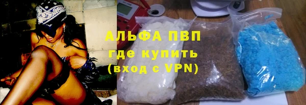 эйфоретик Бородино